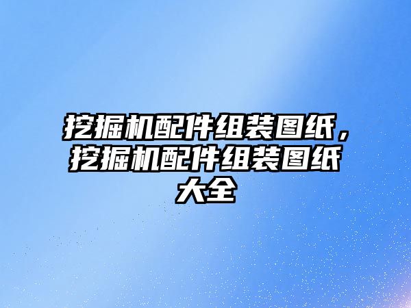 挖掘機配件組裝圖紙，挖掘機配件組裝圖紙大全