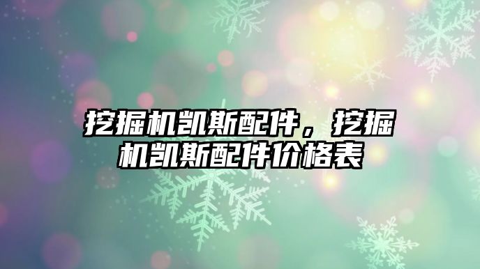 挖掘機(jī)凱斯配件，挖掘機(jī)凱斯配件價格表