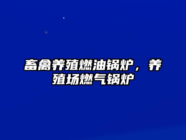 畜禽養(yǎng)殖燃油鍋爐，養(yǎng)殖場(chǎng)燃?xì)忮仩t