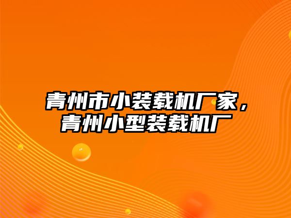 青州市小裝載機廠家，青州小型裝載機廠