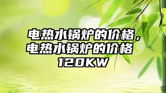 電熱水鍋爐的價格，電熱水鍋爐的價格 120KW