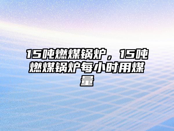 15噸燃煤鍋爐，15噸燃煤鍋爐每小時用煤量