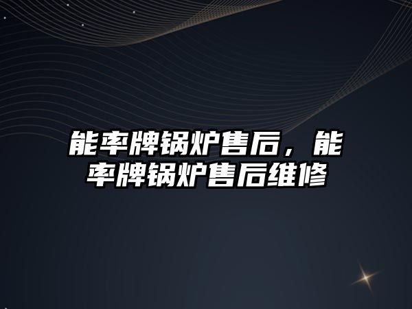 能率牌鍋爐售后，能率牌鍋爐售后維修