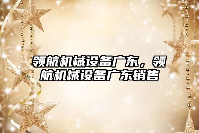 領(lǐng)航機械設(shè)備廣東，領(lǐng)航機械設(shè)備廣東銷售