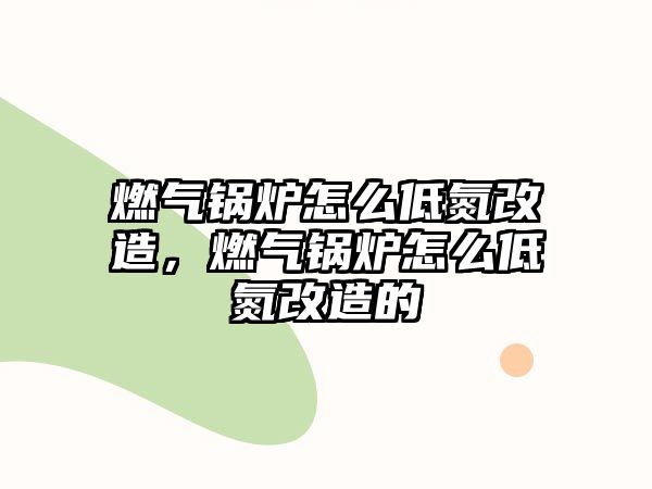 燃?xì)忮仩t怎么低氮改造，燃?xì)忮仩t怎么低氮改造的