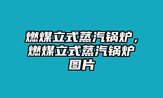 燃煤立式蒸汽鍋爐，燃煤立式蒸汽鍋爐圖片