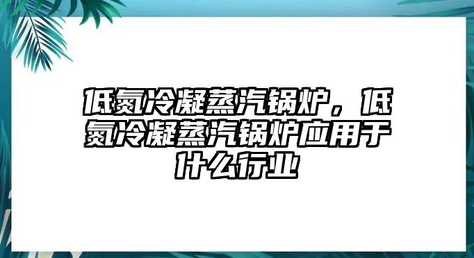 低氮冷凝蒸汽鍋爐，低氮冷凝蒸汽鍋爐應用于什么行業(yè)