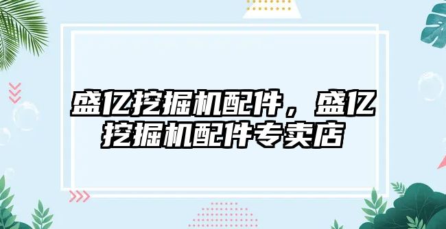 盛億挖掘機配件，盛億挖掘機配件專賣店