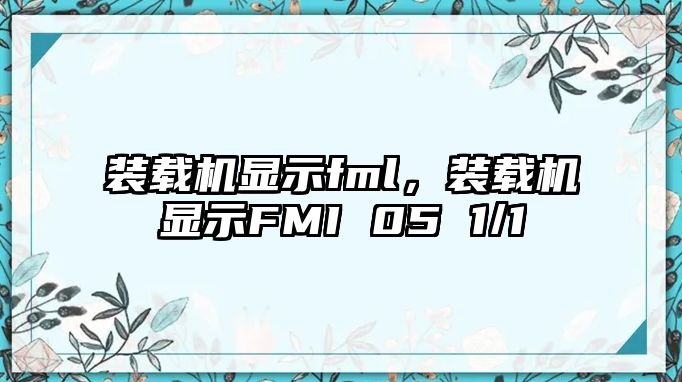 裝載機顯示fml，裝載機顯示FMI 05 1/1