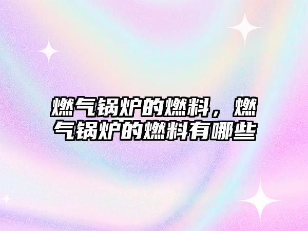 燃?xì)忮仩t的燃料，燃?xì)忮仩t的燃料有哪些