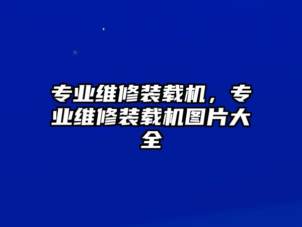 專業(yè)維修裝載機(jī)，專業(yè)維修裝載機(jī)圖片大全