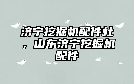 濟(jì)寧挖掘機配件杜，山東濟(jì)寧挖掘機配件