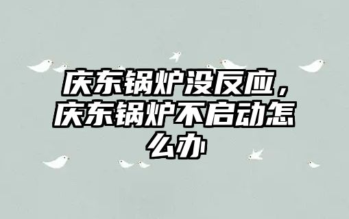 慶東鍋爐沒反應(yīng)，慶東鍋爐不啟動怎么辦