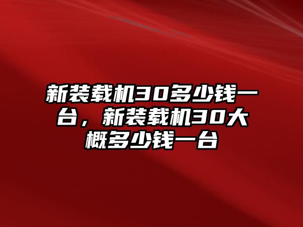 新裝載機30多少錢一臺，新裝載機30大概多少錢一臺