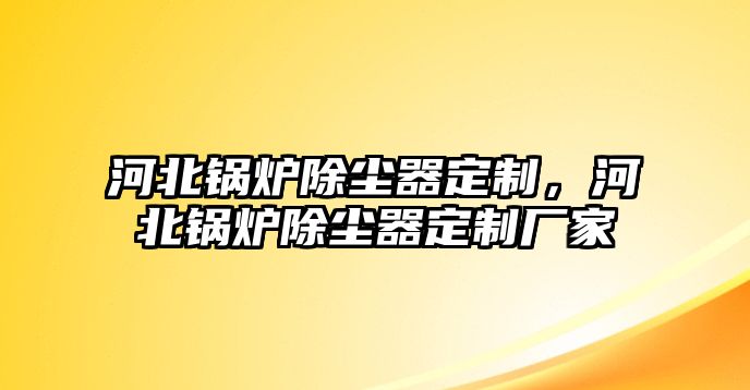 河北鍋爐除塵器定制，河北鍋爐除塵器定制廠家