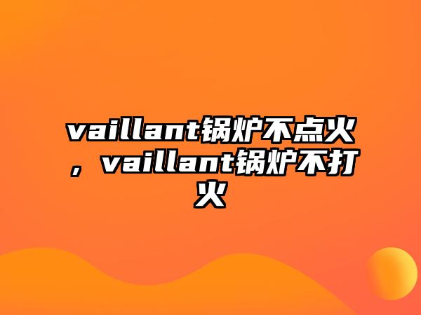 vaillant鍋爐不點(diǎn)火，vaillant鍋爐不打火