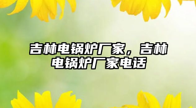 吉林電鍋爐廠家，吉林電鍋爐廠家電話