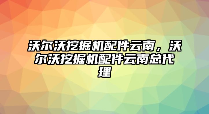 沃爾沃挖掘機配件云南，沃爾沃挖掘機配件云南總代理