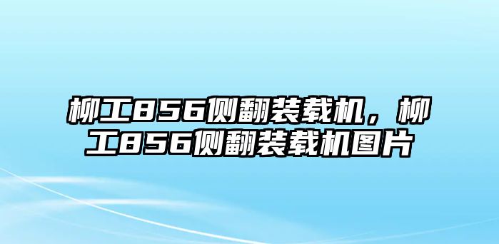 柳工856側(cè)翻裝載機(jī)，柳工856側(cè)翻裝載機(jī)圖片