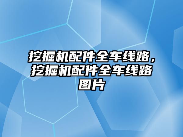 挖掘機配件全車線路，挖掘機配件全車線路圖片