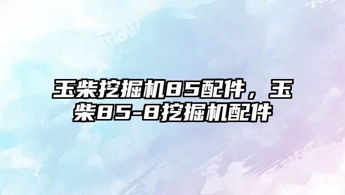 玉柴挖掘機(jī)85配件，玉柴85-8挖掘機(jī)配件