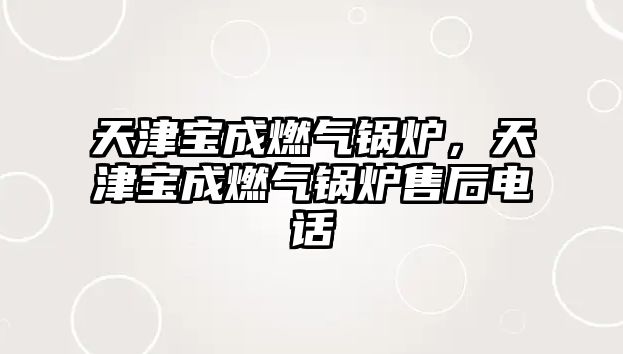 天津?qū)毘扇細(xì)忮仩t，天津?qū)毘扇細(xì)忮仩t售后電話(huà)