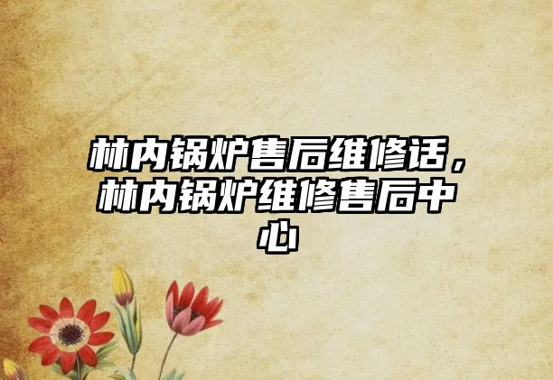 林內(nèi)鍋爐售后維修話，林內(nèi)鍋爐維修售后中心