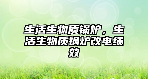 生活生物質(zhì)鍋爐，生活生物質(zhì)鍋爐改電績效