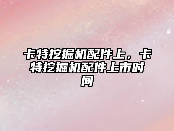 卡特挖掘機配件上，卡特挖掘機配件上市時間