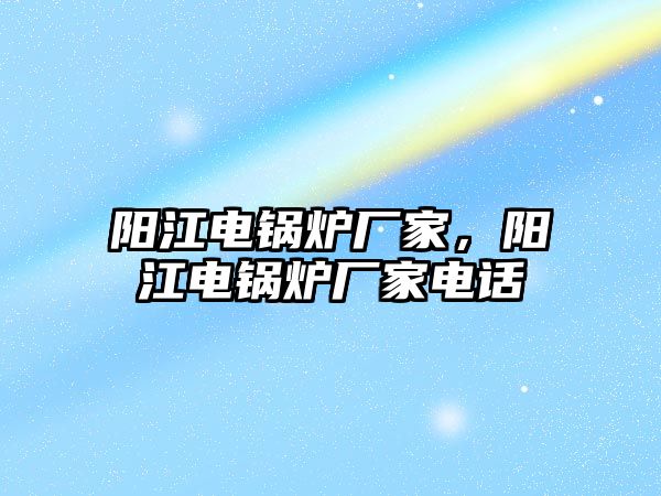 陽江電鍋爐廠家，陽江電鍋爐廠家電話