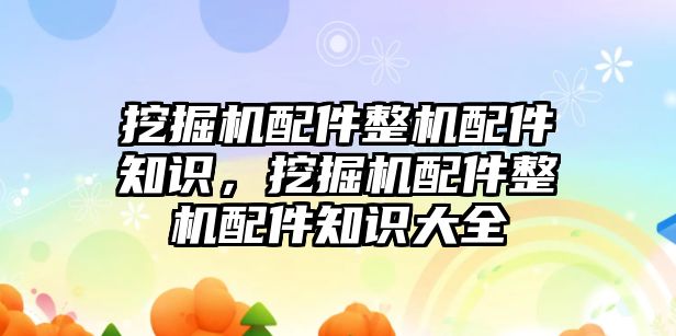 挖掘機配件整機配件知識，挖掘機配件整機配件知識大全