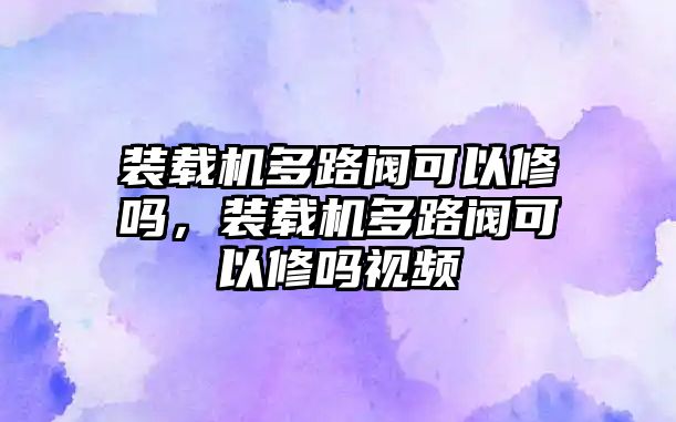 裝載機(jī)多路閥可以修嗎，裝載機(jī)多路閥可以修嗎視頻