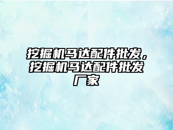 挖掘機馬達配件批發(fā)，挖掘機馬達配件批發(fā)廠家