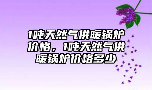 1噸天然氣供暖鍋爐價格，1噸天然氣供暖鍋爐價格多少