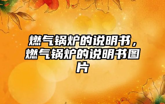 燃?xì)忮仩t的說明書，燃?xì)忮仩t的說明書圖片