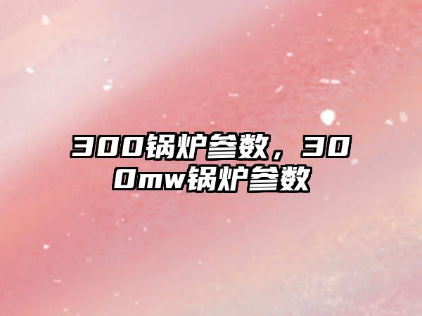 300鍋爐參數(shù)，300mw鍋爐參數(shù)