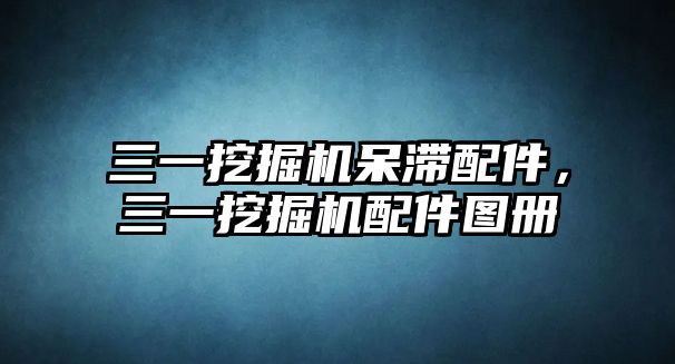 三一挖掘機呆滯配件，三一挖掘機配件圖冊