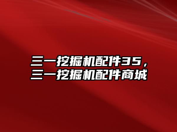 三一挖掘機(jī)配件35，三一挖掘機(jī)配件商城