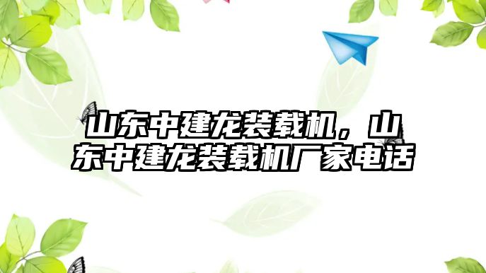 山東中建龍裝載機，山東中建龍裝載機廠家電話