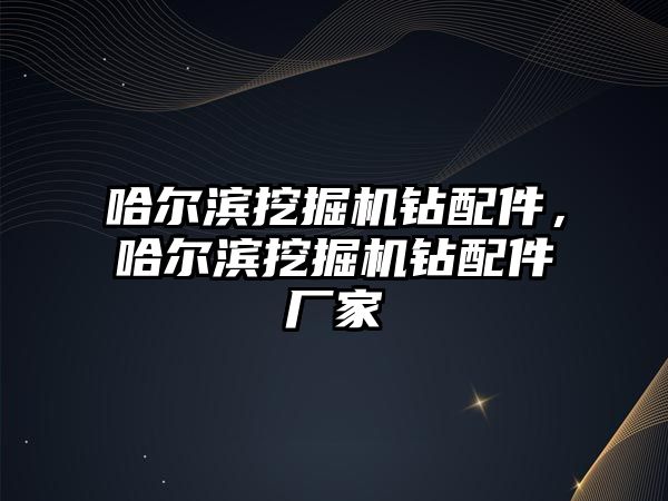 哈爾濱挖掘機鉆配件，哈爾濱挖掘機鉆配件廠家