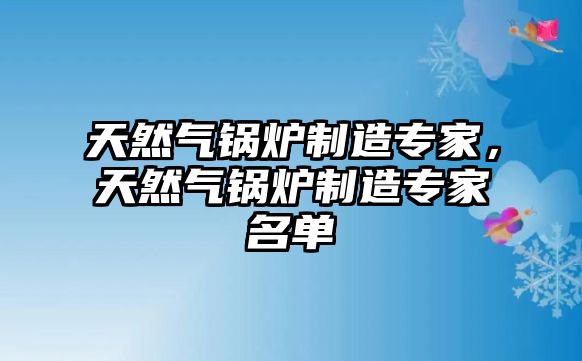 天然氣鍋爐制造專家，天然氣鍋爐制造專家名單