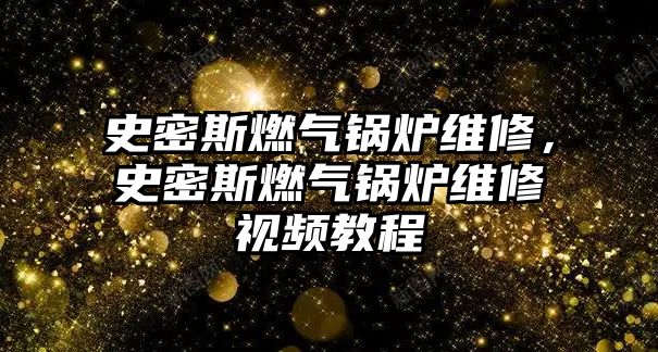 史密斯燃氣鍋爐維修，史密斯燃氣鍋爐維修視頻教程