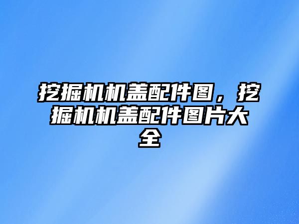 挖掘機機蓋配件圖，挖掘機機蓋配件圖片大全