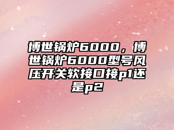 博世鍋爐6000，博世鍋爐6000型號(hào)風(fēng)壓開(kāi)關(guān)軟接口接p1還是p2