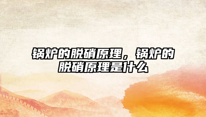 鍋爐的脫硝原理，鍋爐的脫硝原理是什么