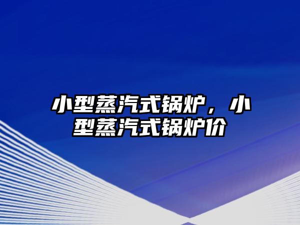 小型蒸汽式鍋爐，小型蒸汽式鍋爐價(jià)栿