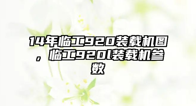 14年臨工920裝載機(jī)圖，臨工920l裝載機(jī)參數(shù)