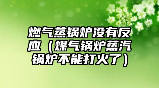 燃?xì)庹翦仩t沒(méi)有反應(yīng)（煤氣鍋爐蒸汽鍋爐不能打火了）