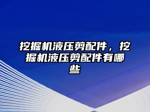 挖掘機液壓剪配件，挖掘機液壓剪配件有哪些