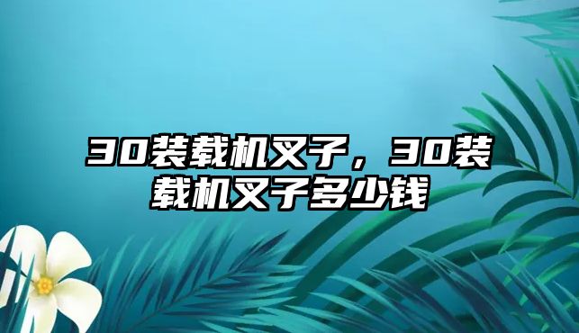 30裝載機叉子，30裝載機叉子多少錢